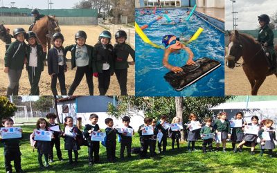 Cursos intensivos de equitación y natación