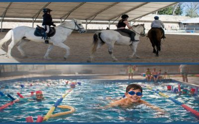 Cursos intensivos de equitación y natación